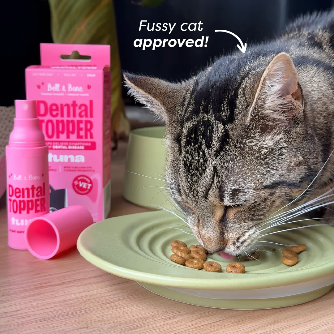 Bell & Bone Cat Dental Topper - Tuna 30ml