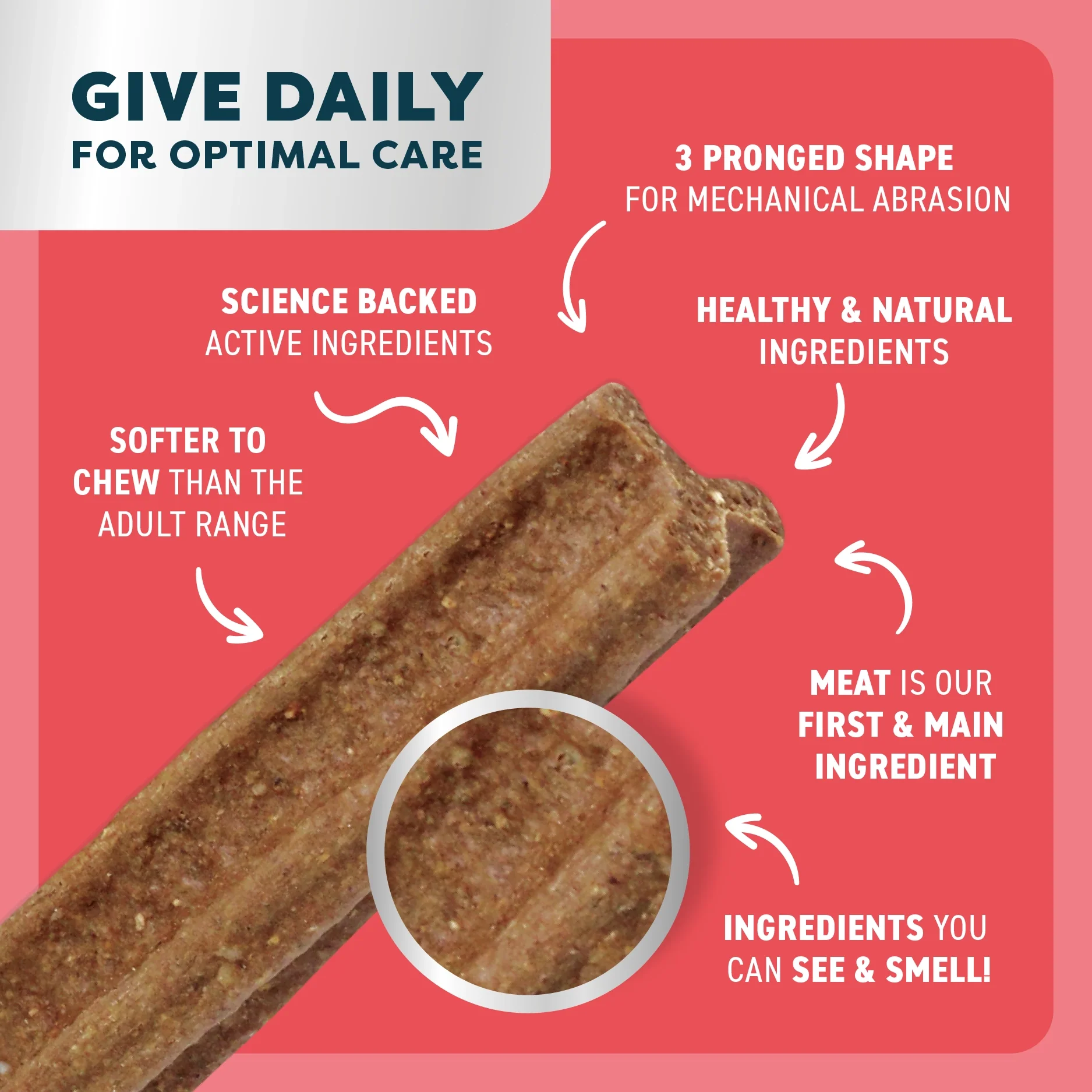 Bell and Bone Puppy Dental Chews - Beef and Coconut