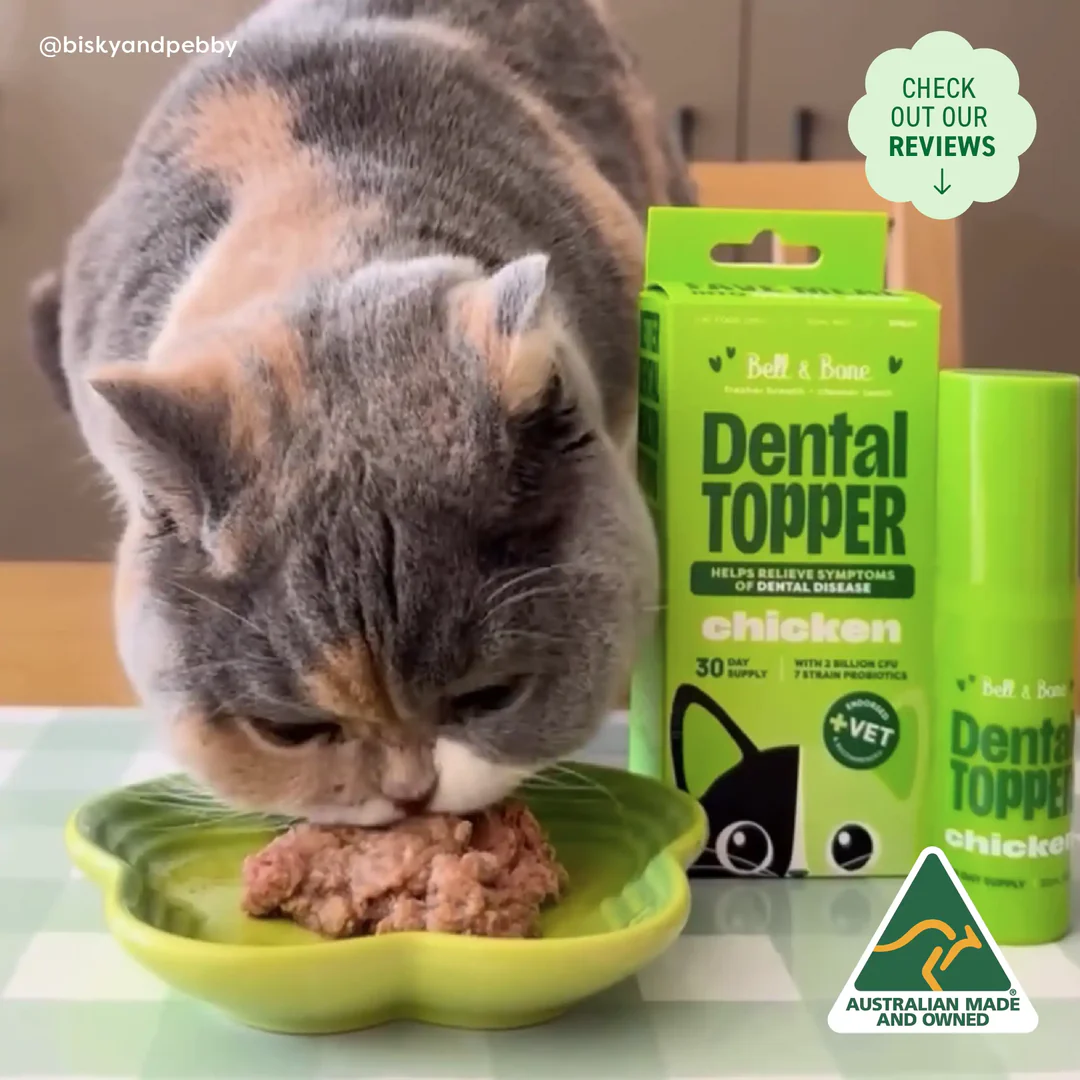 Bell & Bone Cat Dental Topper - Chicken 30ml