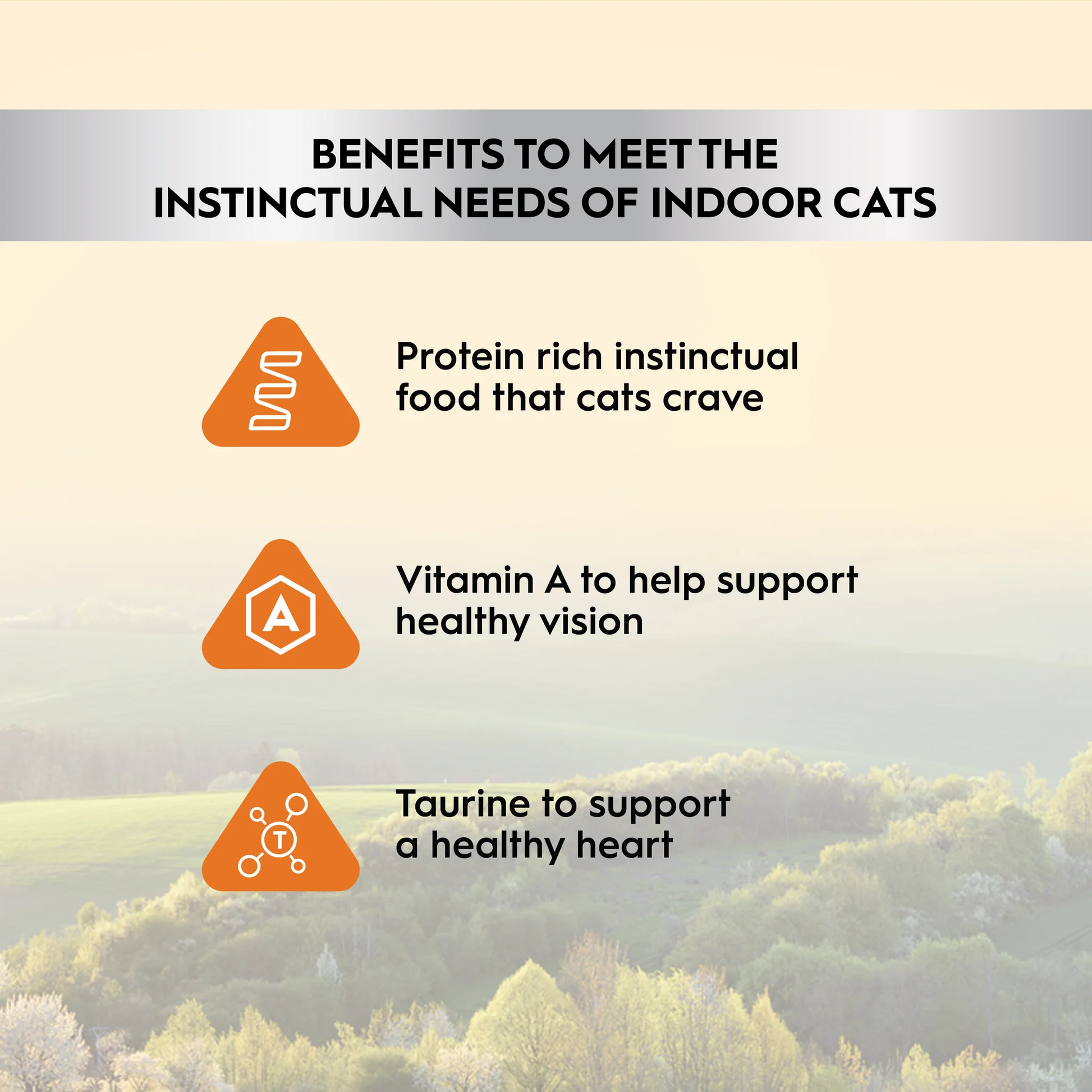 Triology Adult Cat Wet Food Complete Prey Pate Chicken 85g 24pack