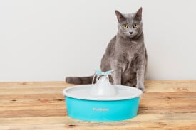 PetSafe Butterfly Pet Water Fountain