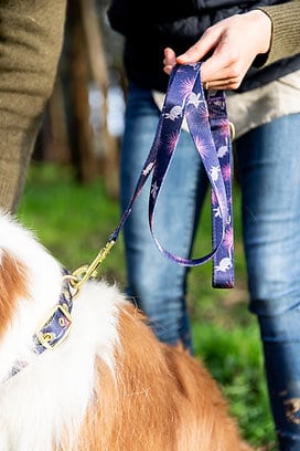 Anipal Billie The Bilby Dog Leash