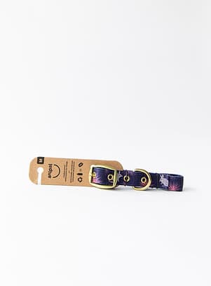 Anipal Billie The Bilby Dog Collar
