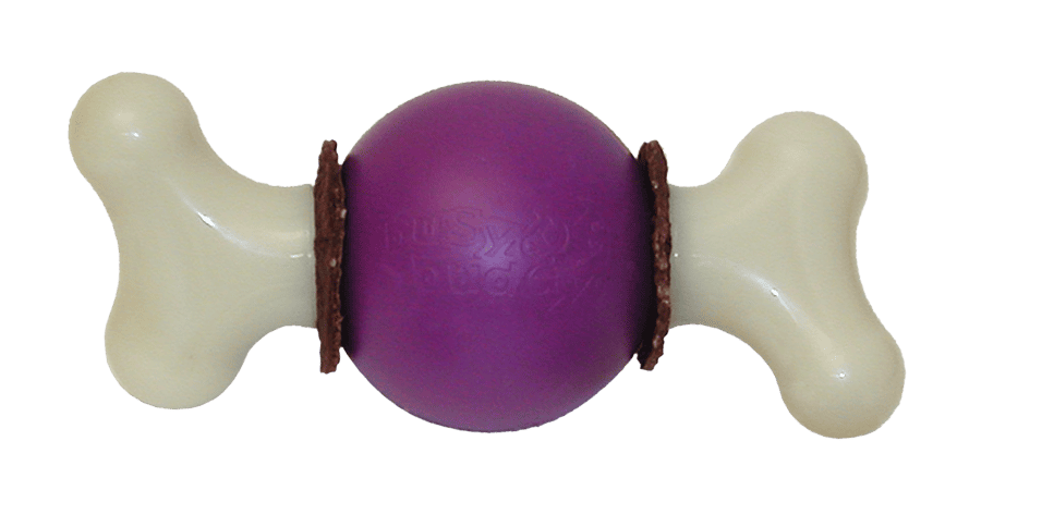 Petsafe Busy Buddy Bouncy Bone Dog Toy