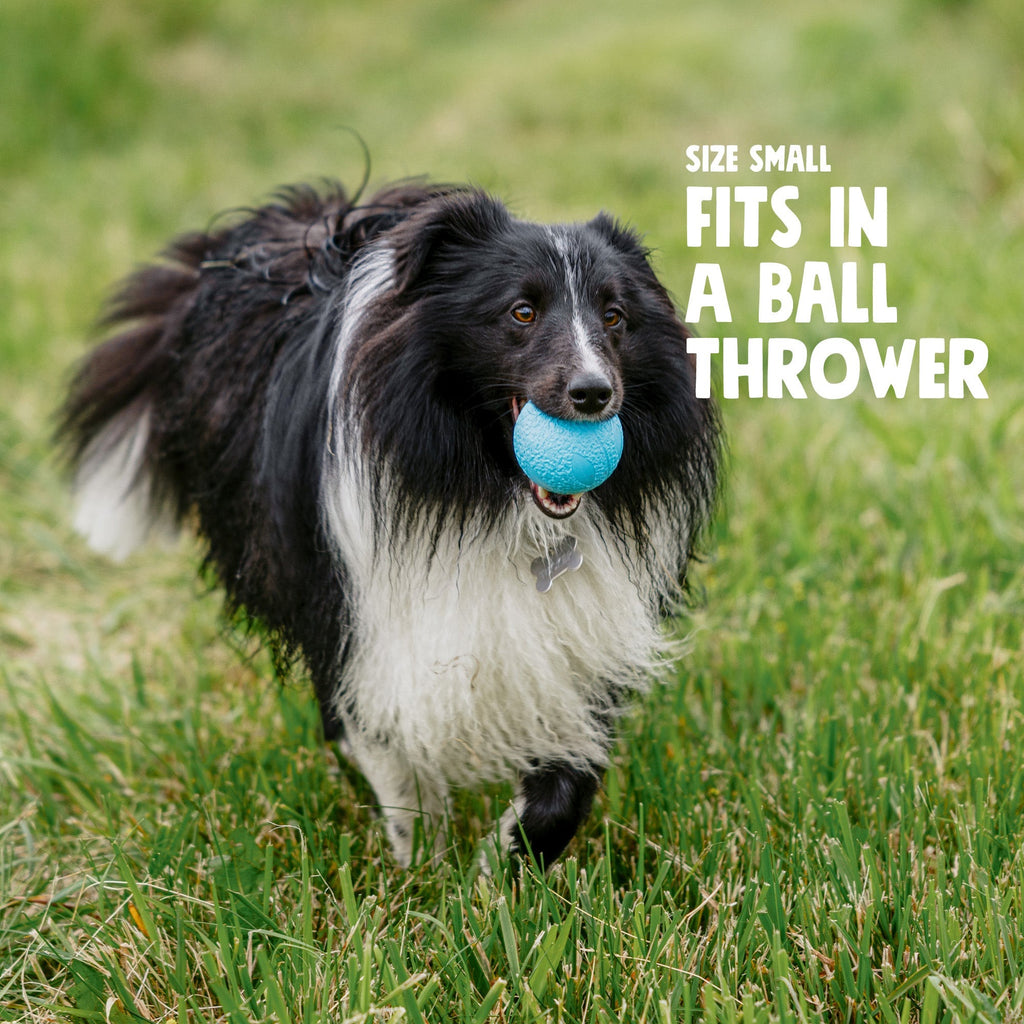 West Paw Boundr Ball Dog Chew Toy
