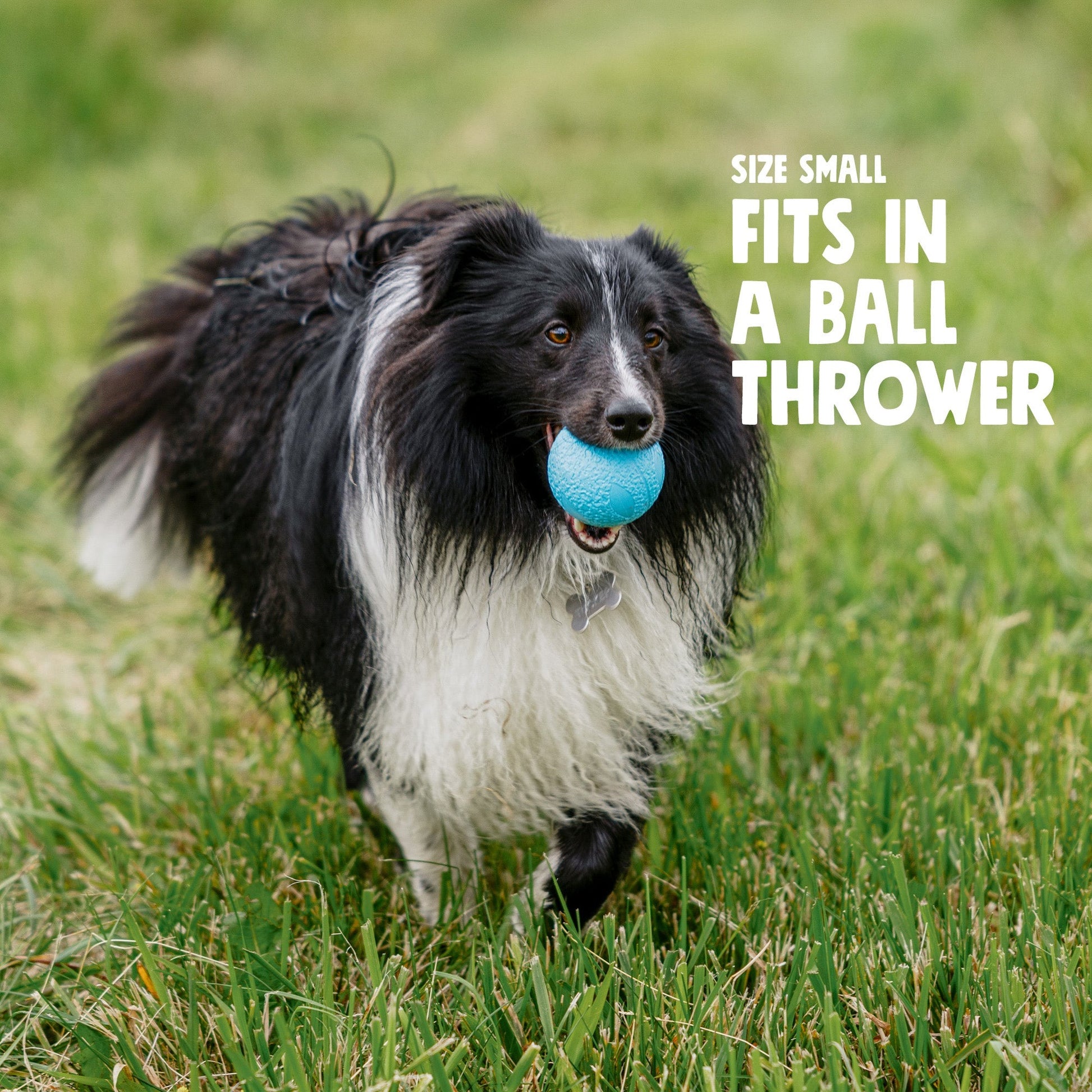 West Paw Boundr Ball Dog Chew Toy