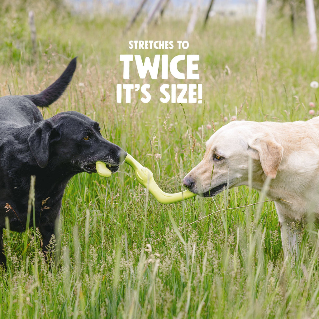 West Paw Bumi Fetch Toy