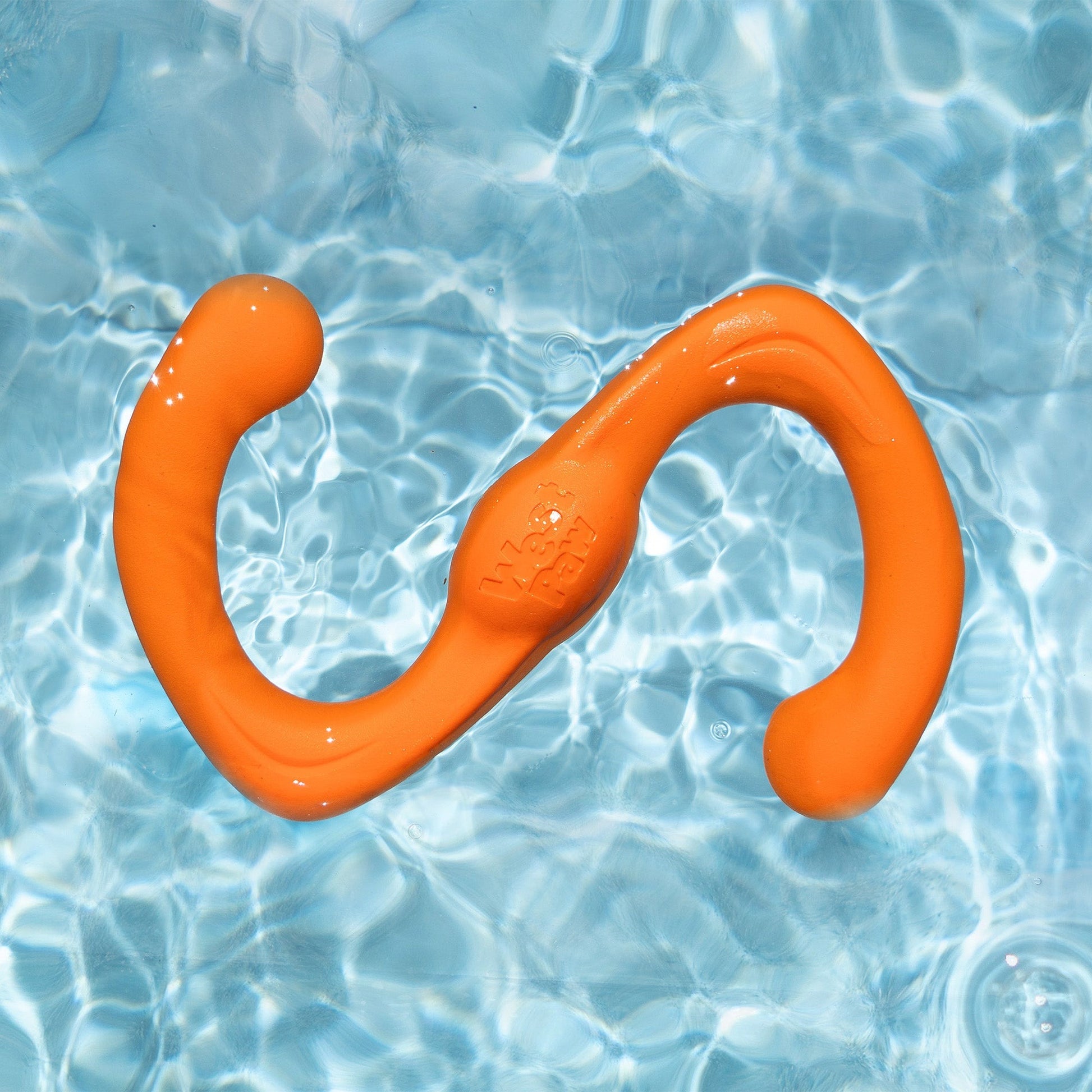 West Paw Bumi Fetch Toy