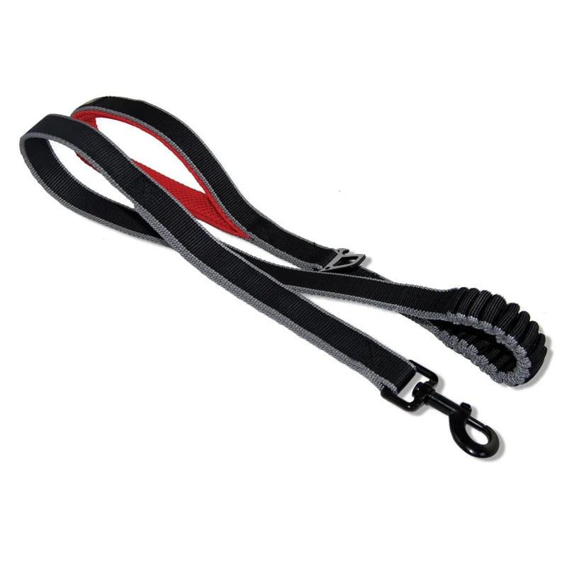 Kurgo Springback Dog Leash Black and Red 48"
