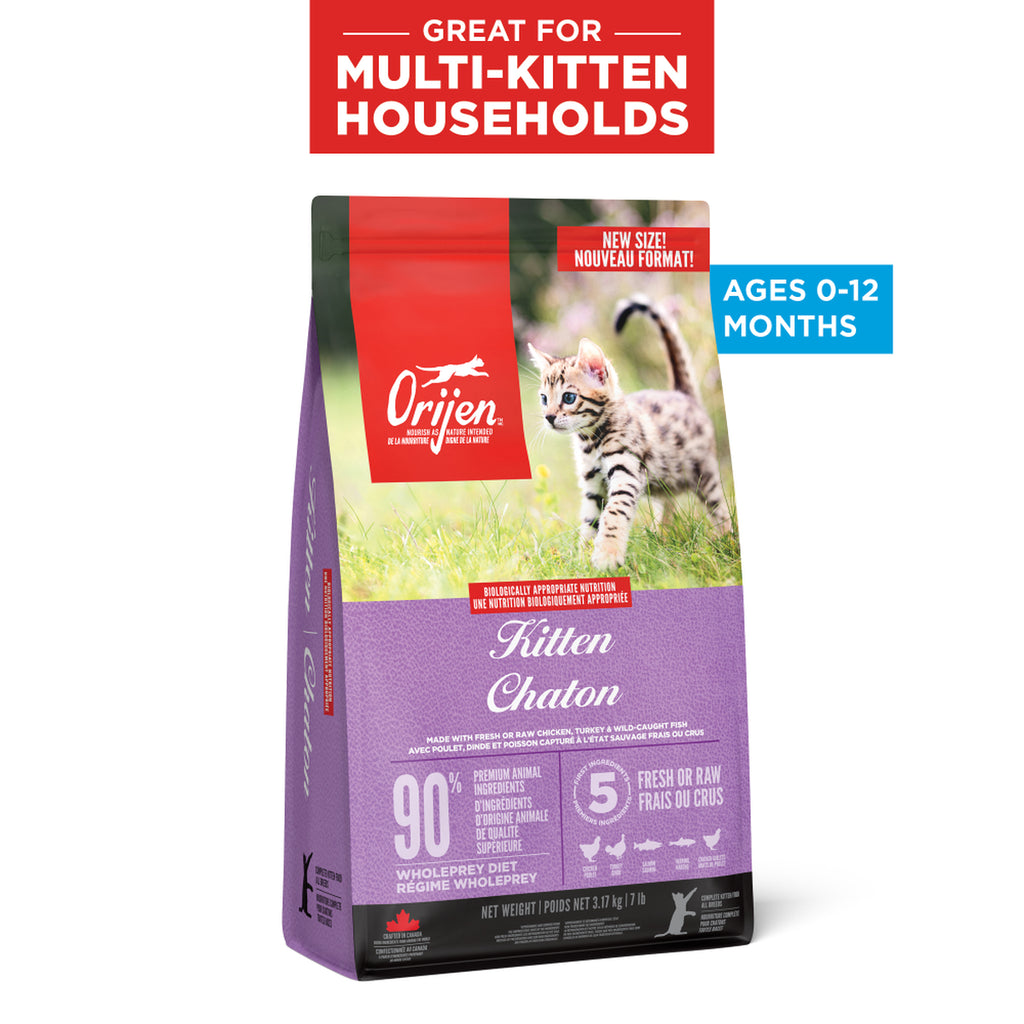 Orijen Kitten Dry Kitten Food