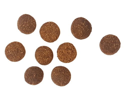 Cherish Super 7 years+ Adult Dog Food