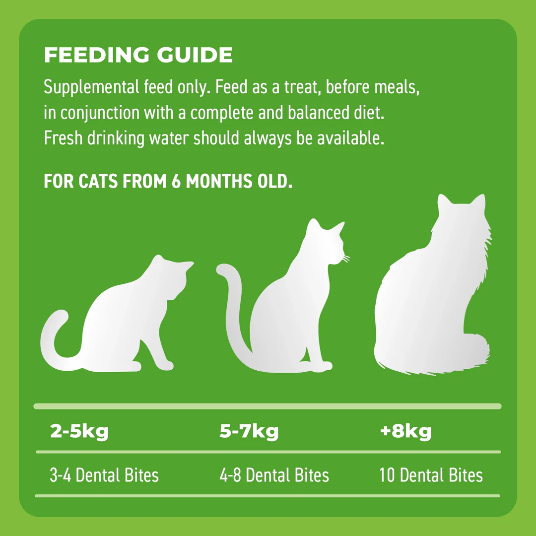 Bell & Bone Cat Dental Bites Chicken Blueberry 80g