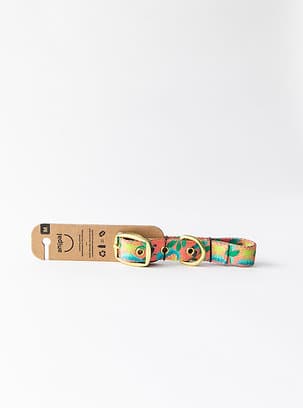 Anipal Clancy the Black Cockatoo Dog Collar