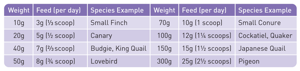 Passwell Crumbles Bird Food