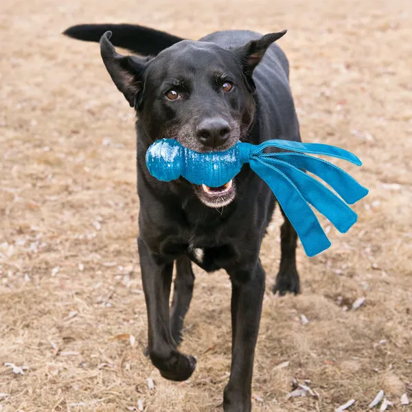 Kong Dog Toy Wubba Comet
