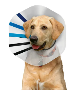 Kong EZ Clear Collar for Dogs