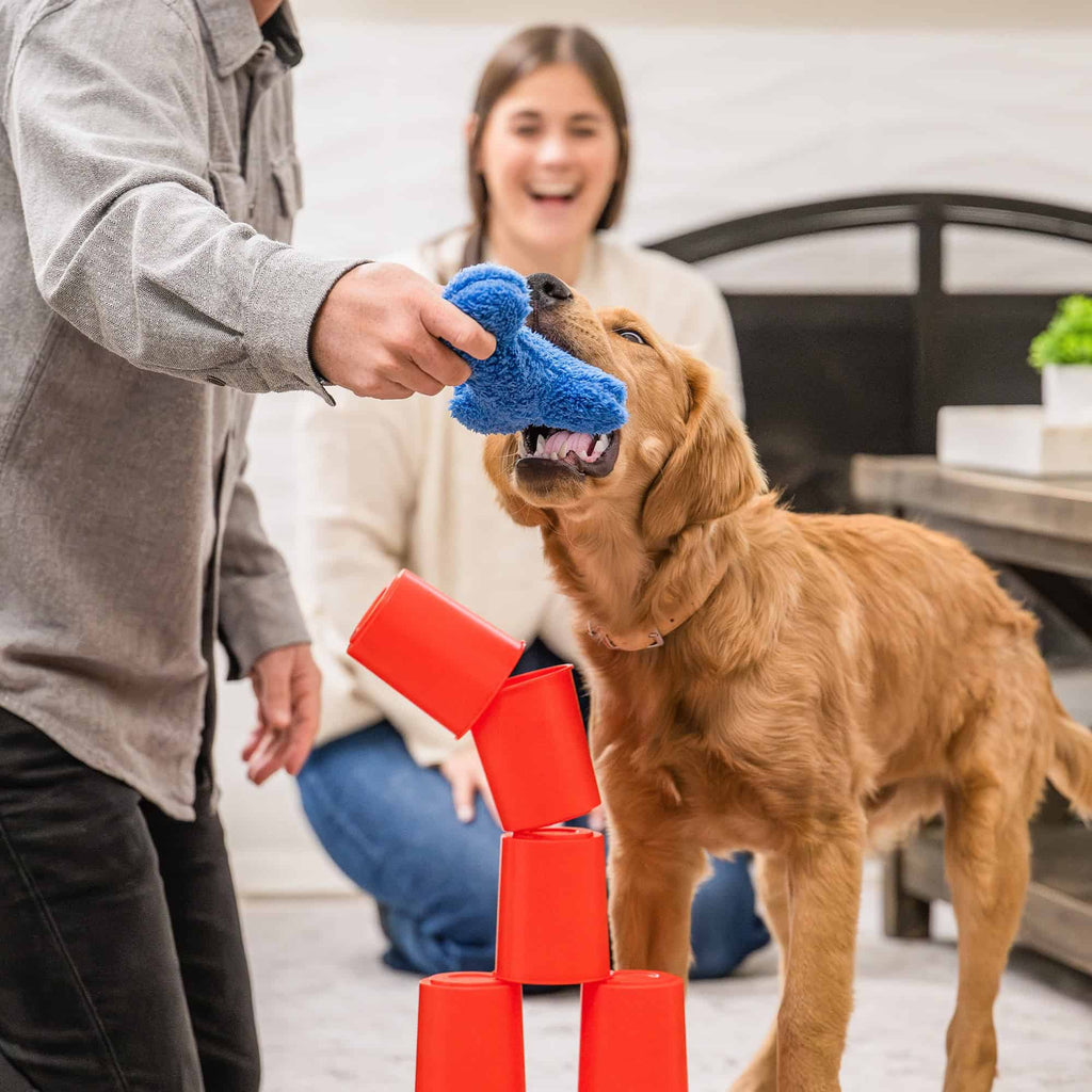 West Paw The Dog's Best Friend Board Game Dog Toy