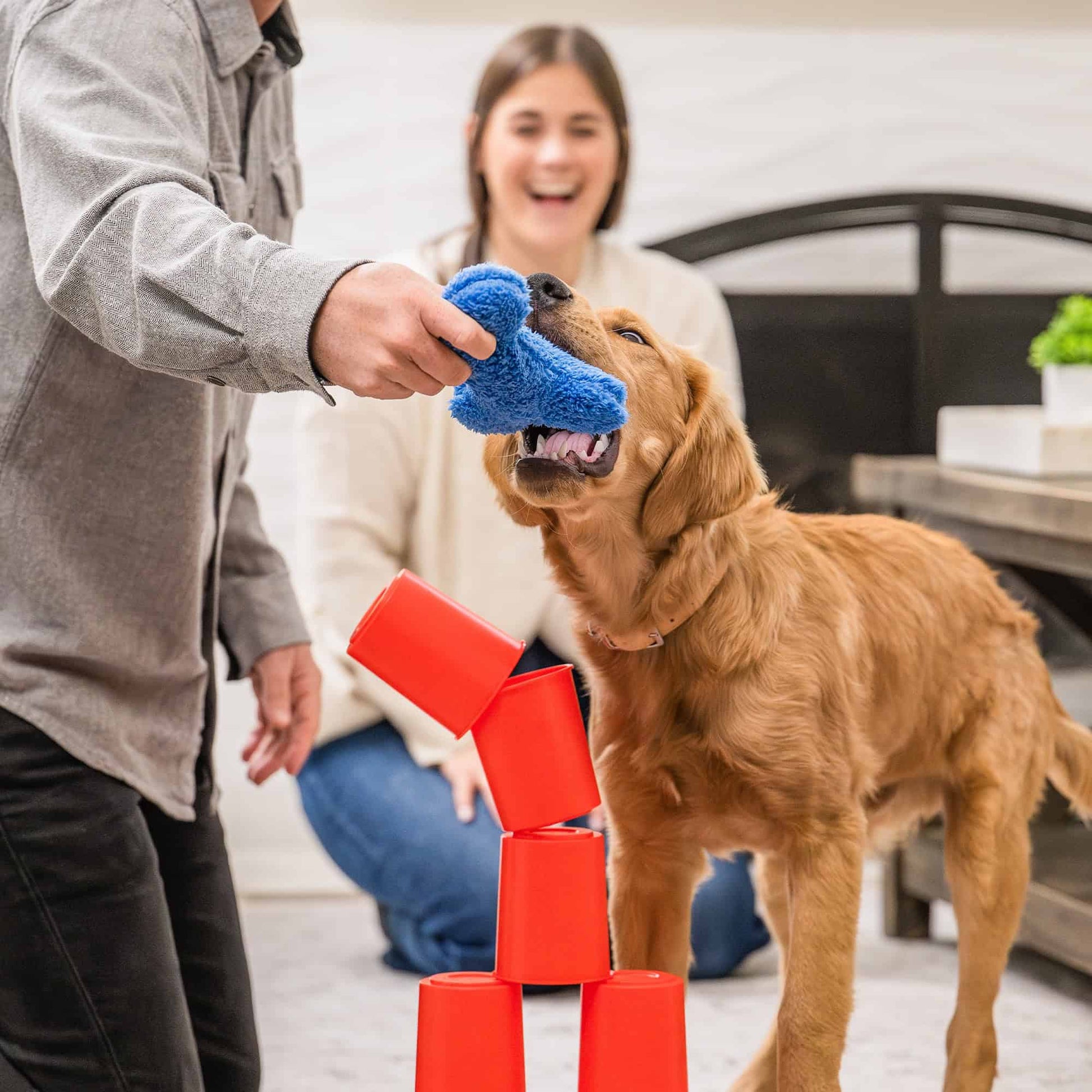 West Paw The Dog's Best Friend Board Game Dog Toy