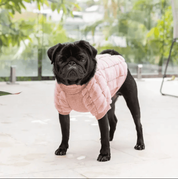 Dogue Fur Baby Dog Jumper - Powder Pink