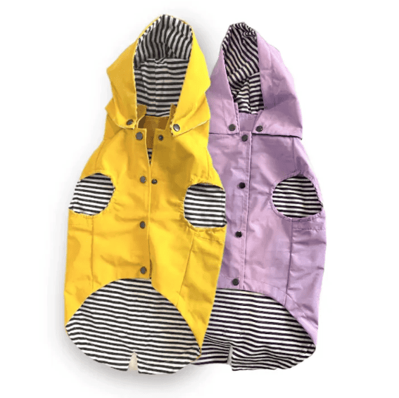 Dogue Essential Dog Raincoat - Purple