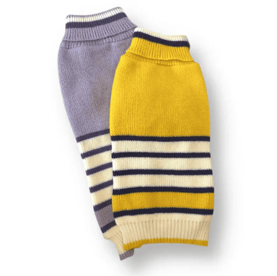 Dogue Stripey Joe Dog Jumper - Purple