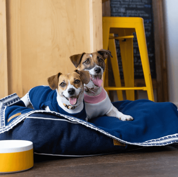Dogue Wildflower & Coastal Chic Dog Blanket Grey