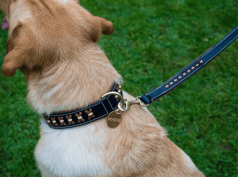 Dogue Leather Man Dog Collar - Black