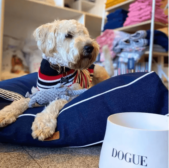 Dogue Denim Floor Dog Cushion