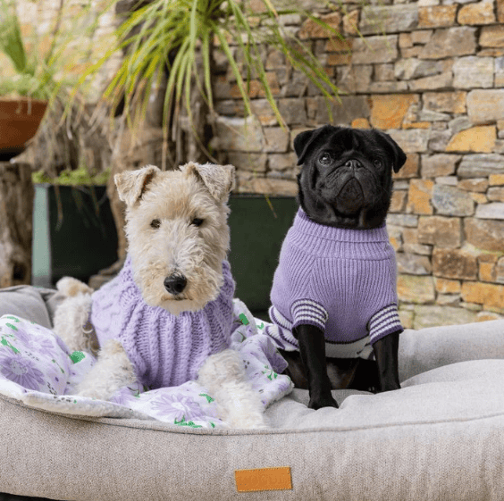 Dogue Luxe Dog Bed - Aegean Blue