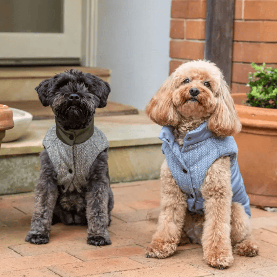Dogue Tweed Puffer Dog Jacket - Hunter Green