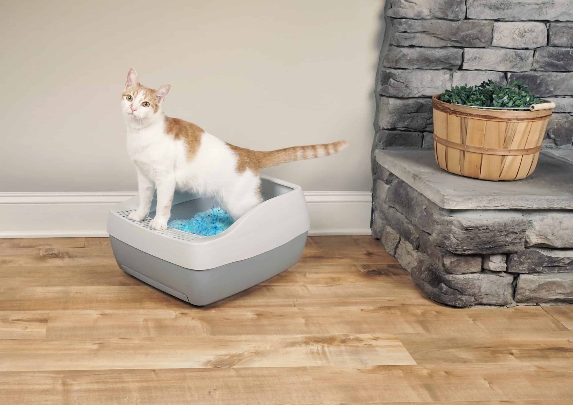 PetSafe Deluxe Crystal Litter Box System