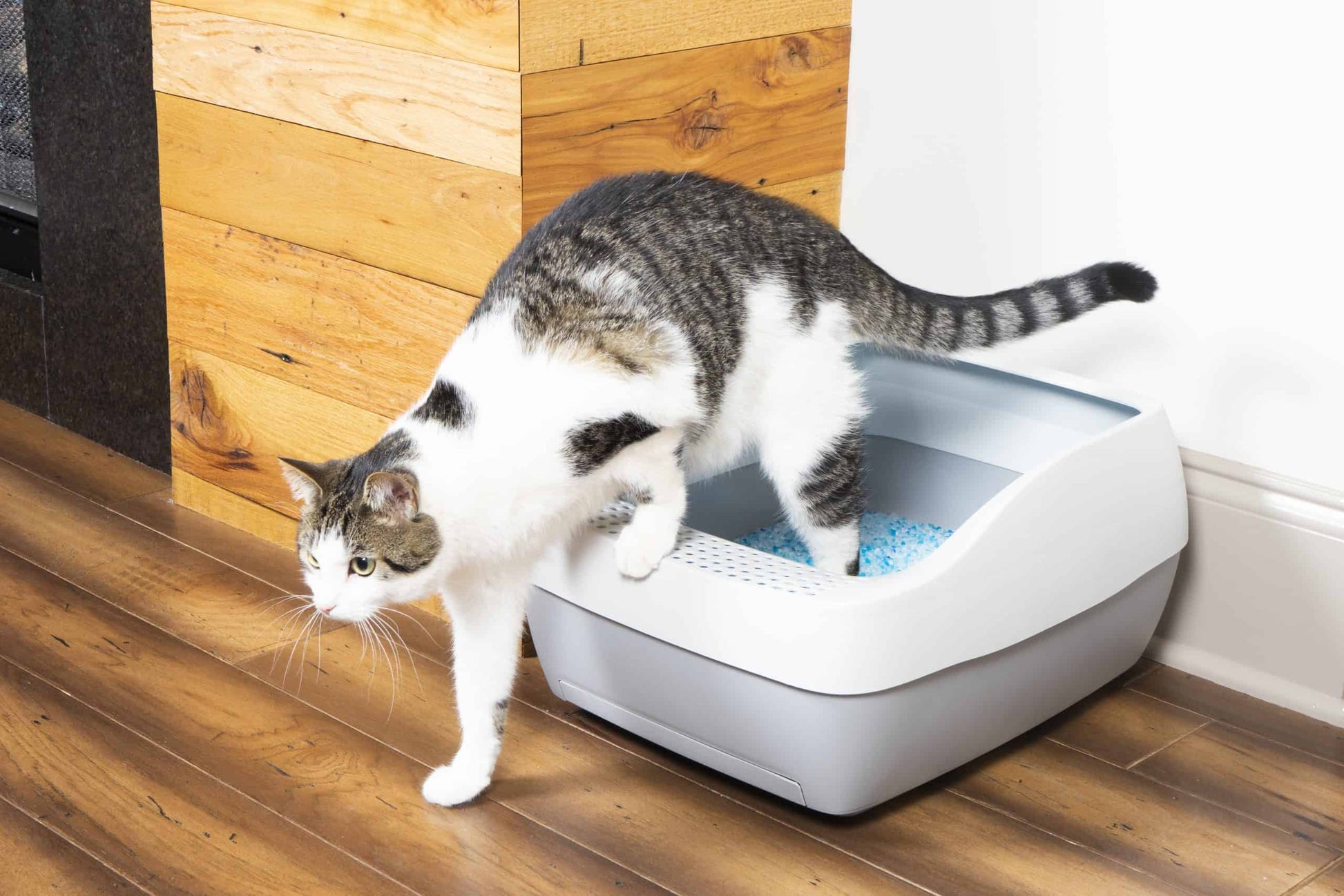 PetSafe Deluxe Crystal Litter Box System