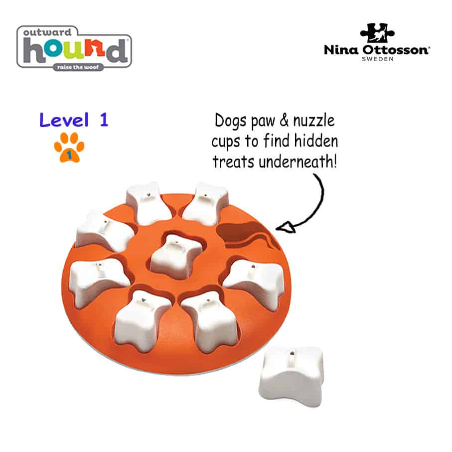 Outward Hound Dog Smart Organiser