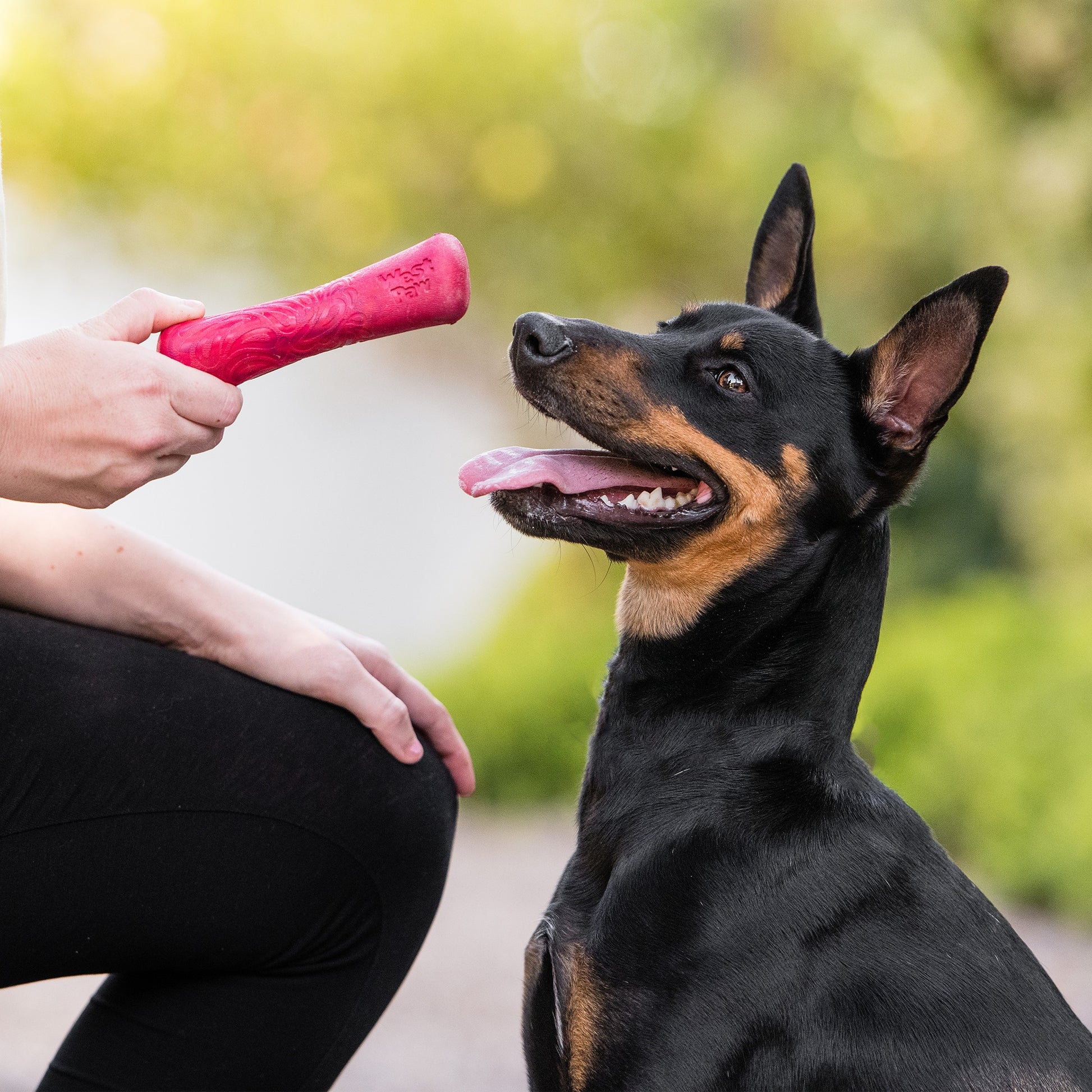 West Paw Drifty Fetch Toy