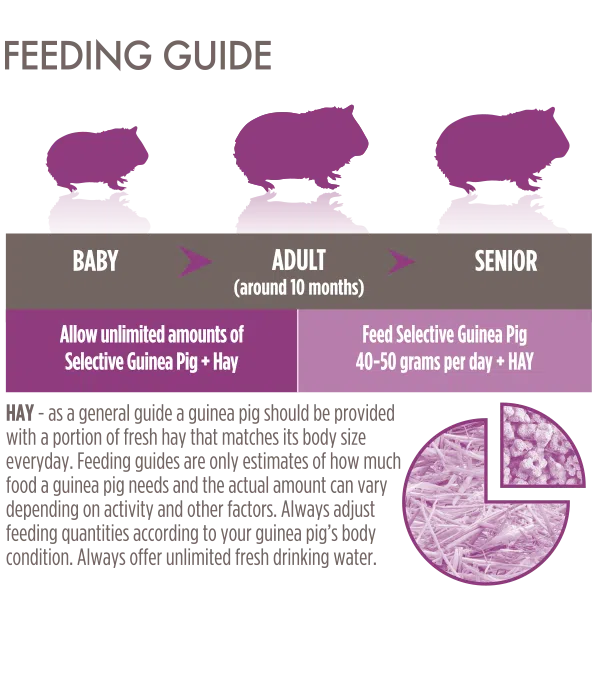 Science Selective Food Guinea Pig