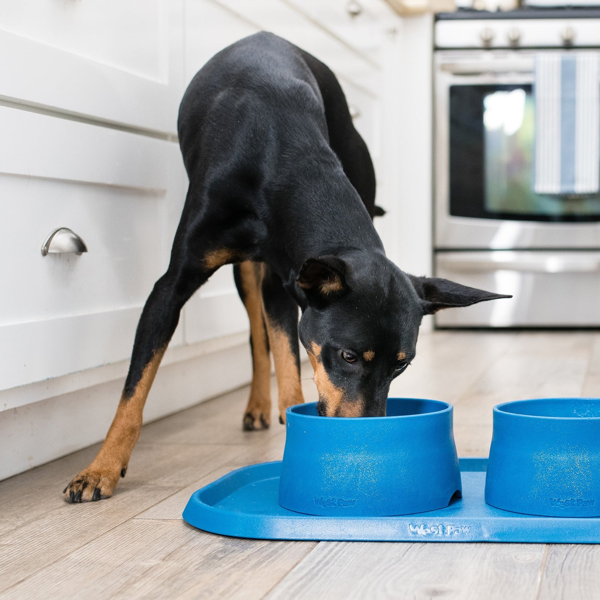 West Paw Doggie Placemat
