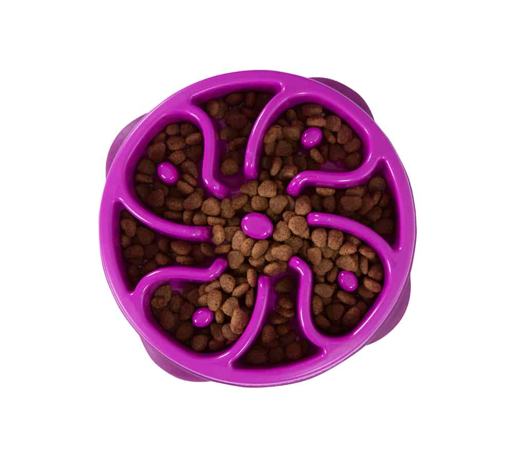 Outward Hound Fun Feeder Mini Purple