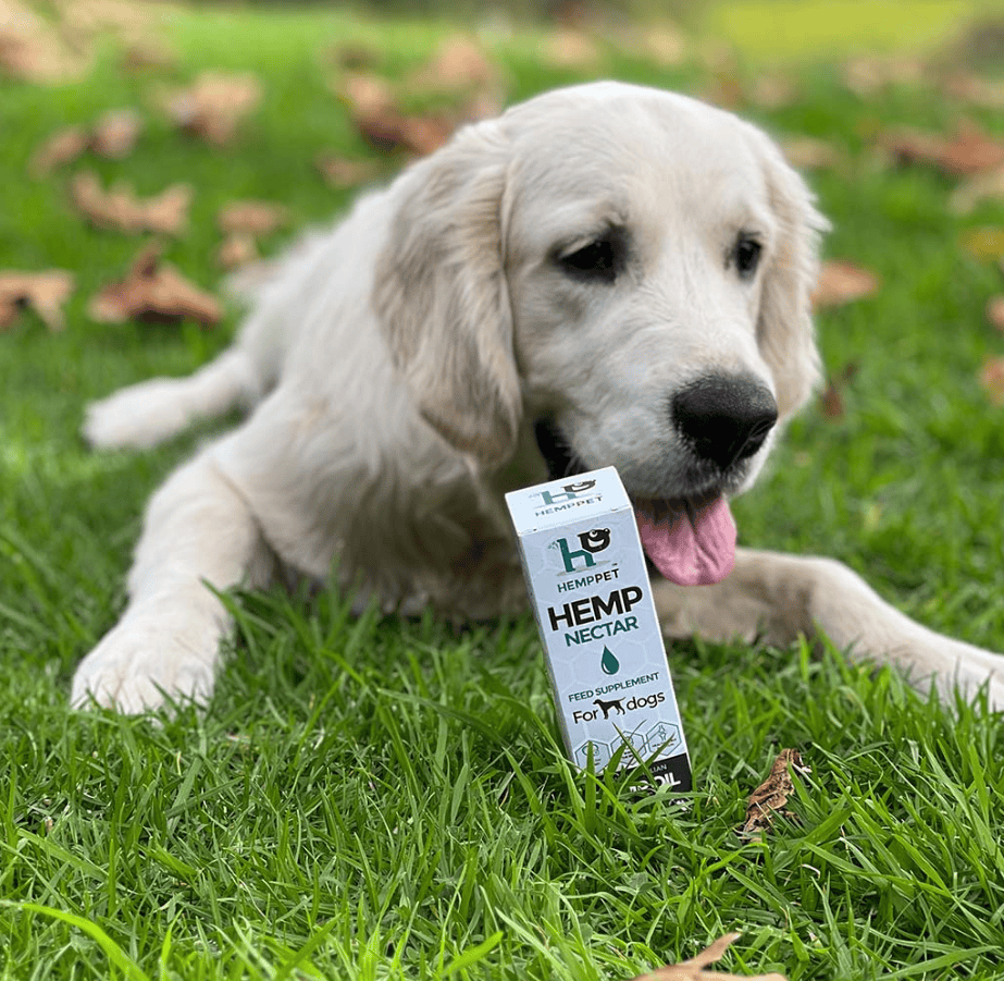 HempPet Immune Support Hemp Seed Nectar for Dogs 100ml