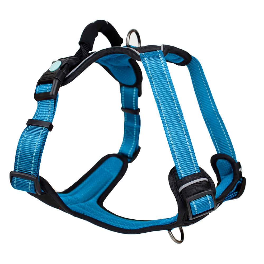 Huskimo Dog Harness Ultimate - Bells Beach