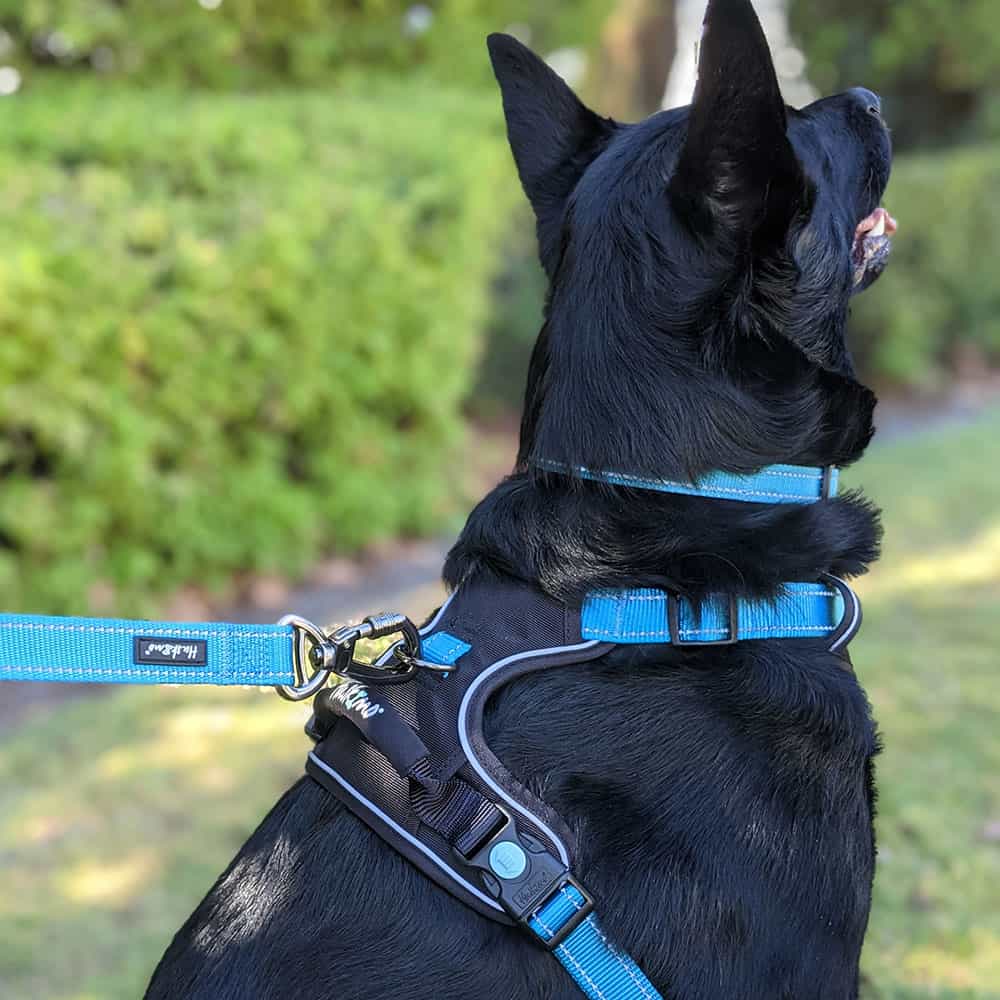 Huskimo Dog Harness Ultimate - Bells Beach