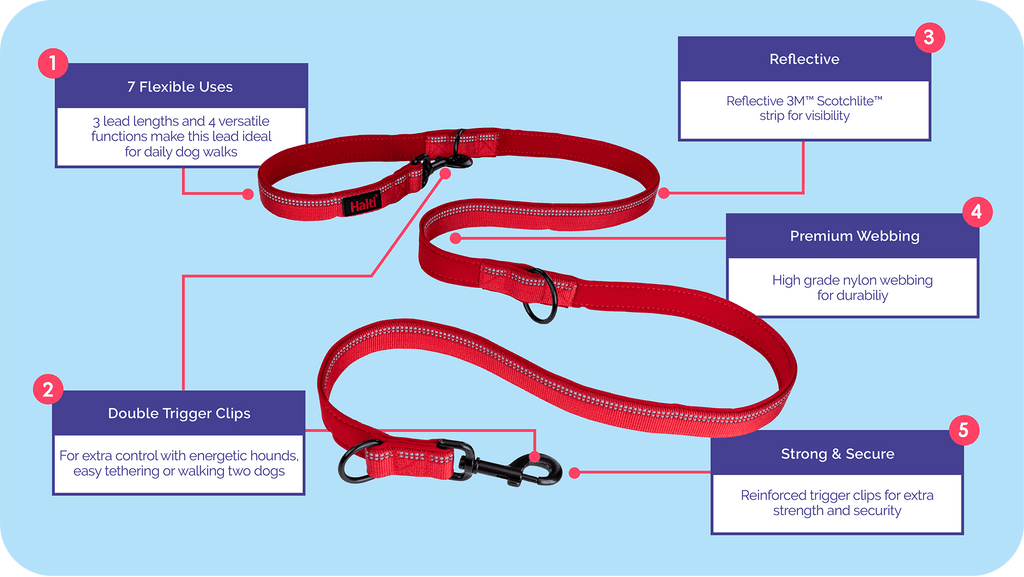 Halti Double Ended Dog Leash