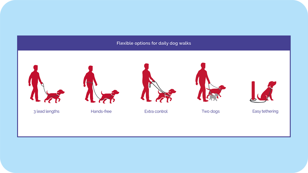 Halti Double Ended Dog Leash