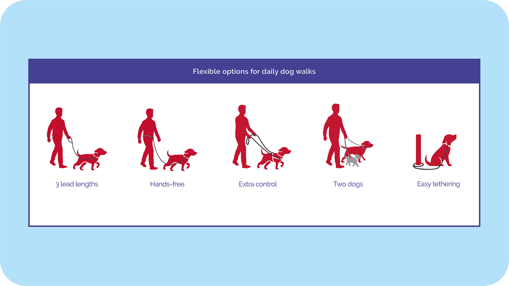 Halti Double Ended Dog Leash