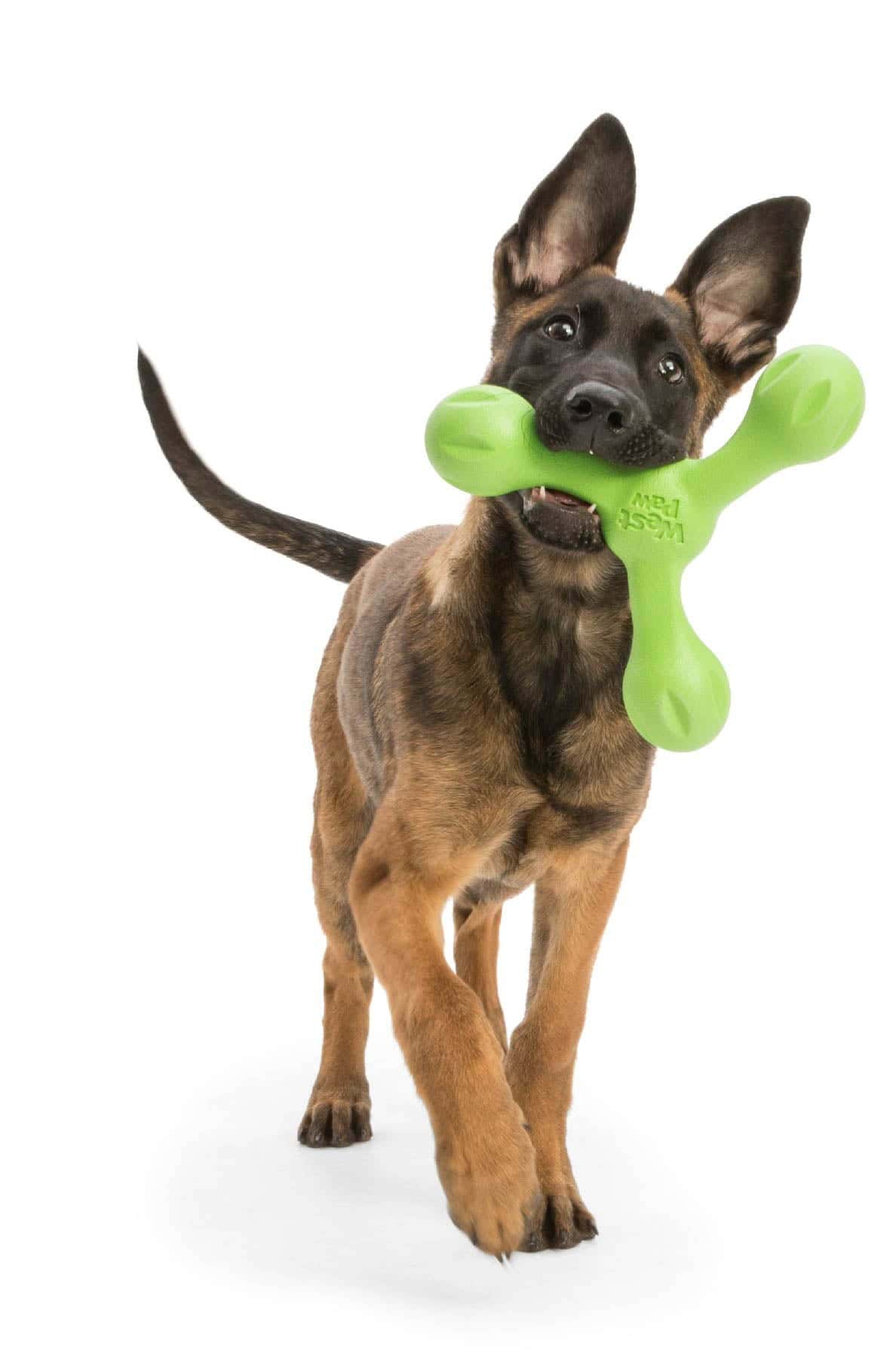 West Paw Skamp Tug Toy