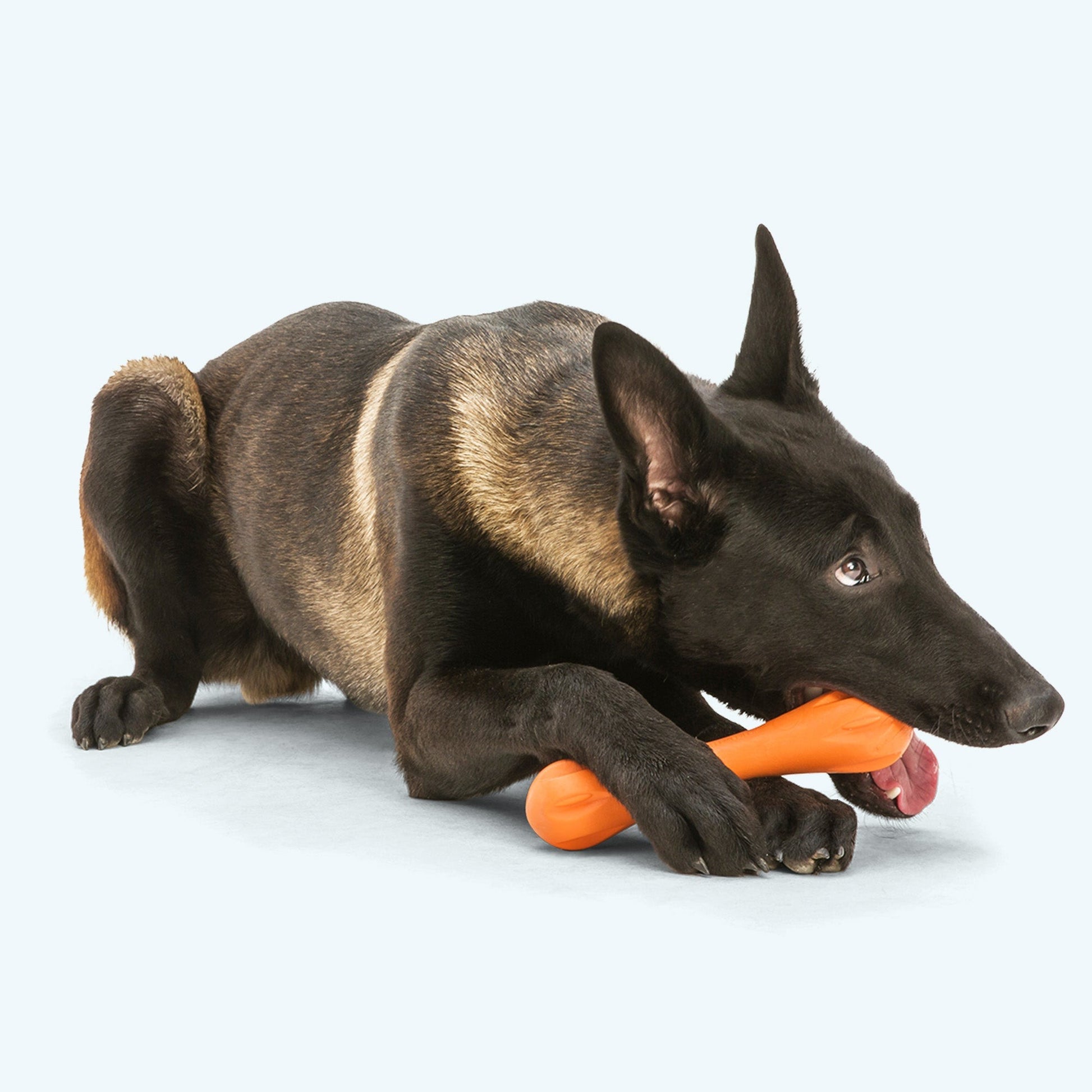 West Paw Hurley Tough Fetch Dog Toy