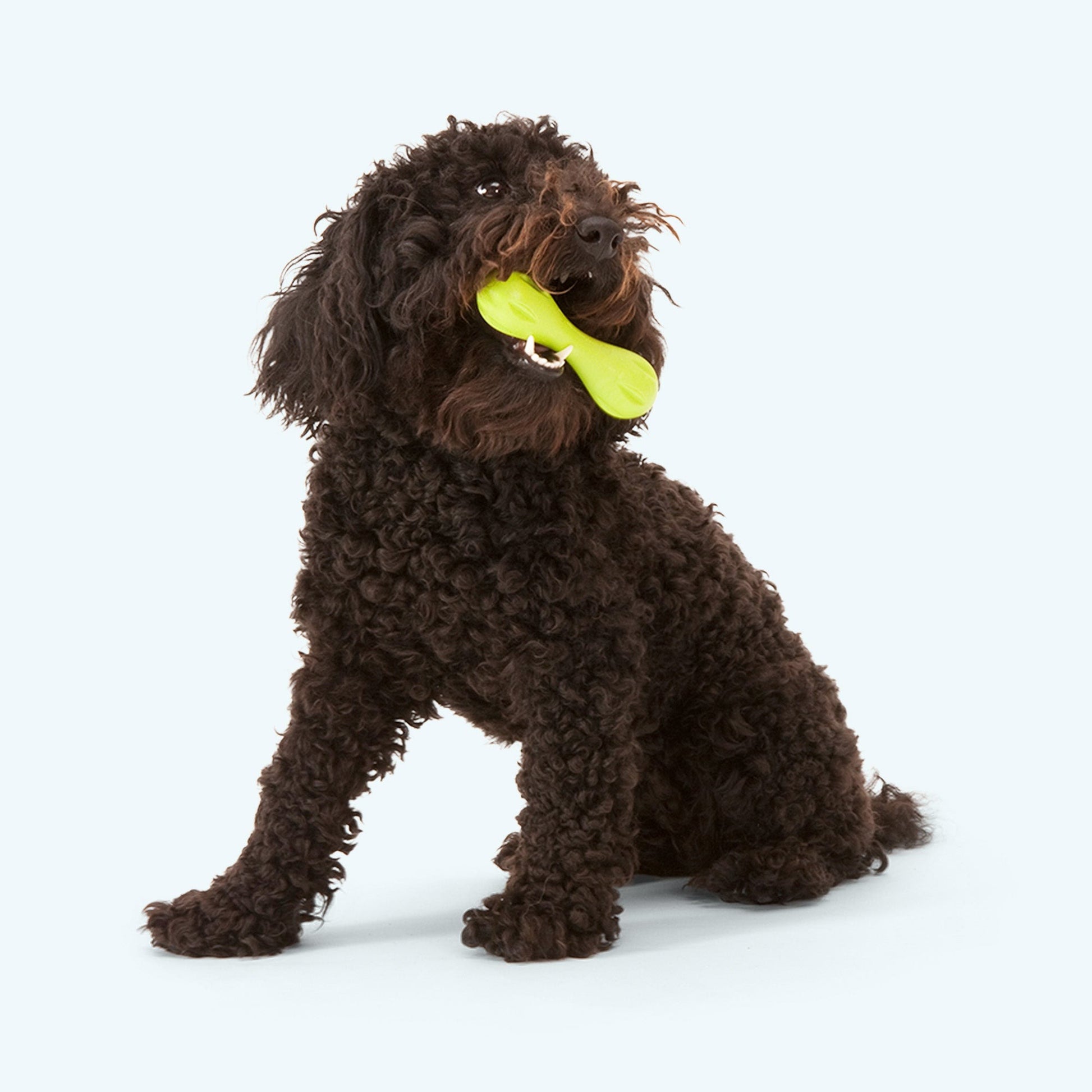 West Paw Hurley Tough Fetch Dog Toy