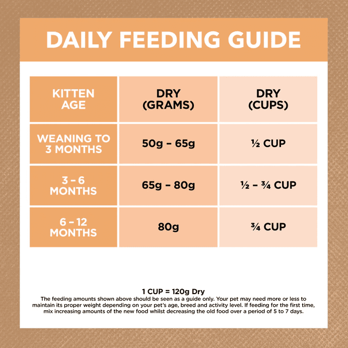 Ivory Coat Grain Free Kitten Chicken 2kg