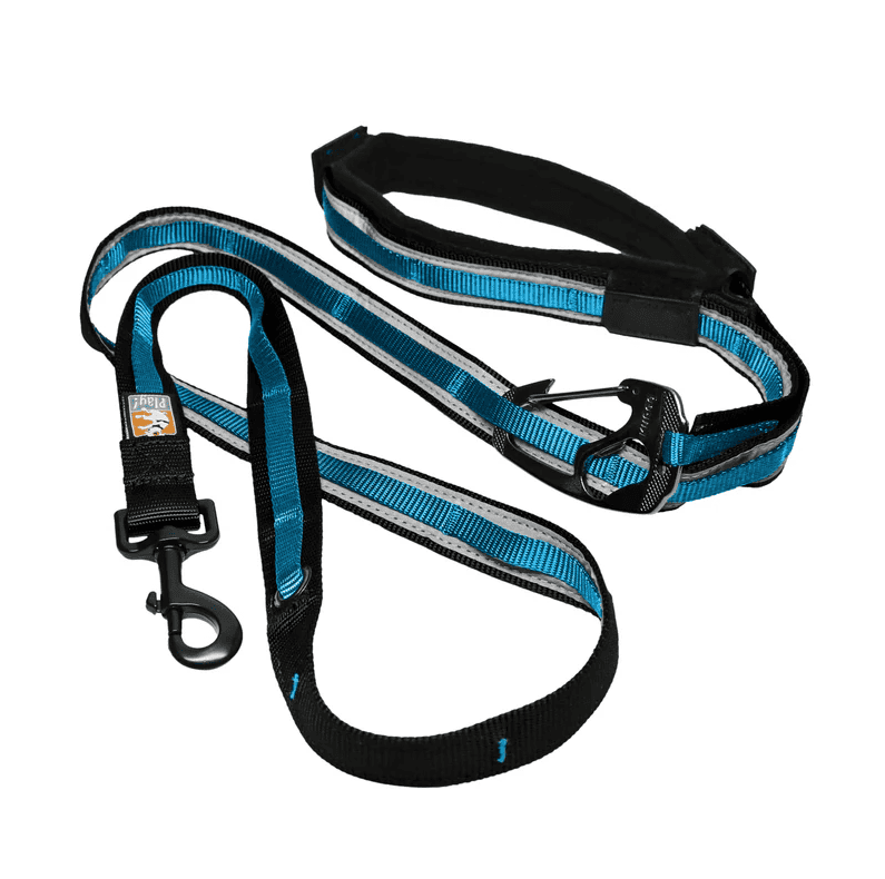 Kurgo Quantum 6-in-1 Leash Reflect & Protect - Blue