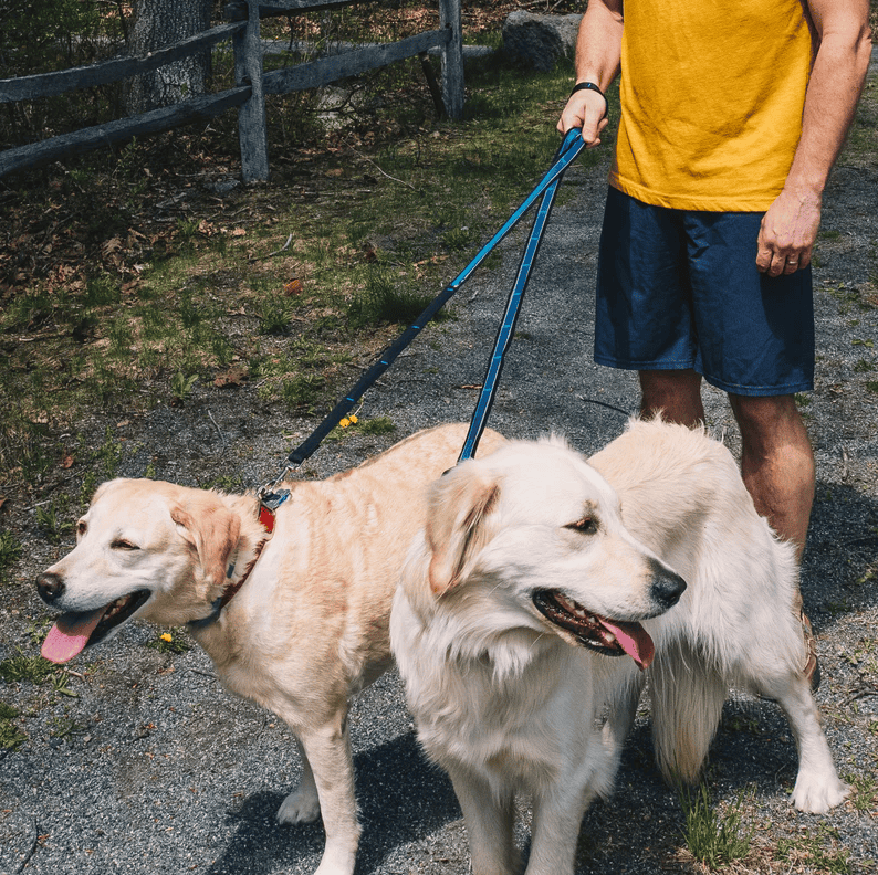 Kurgo Quantum 6-in-1 Leash Reflect & Protect - Blue