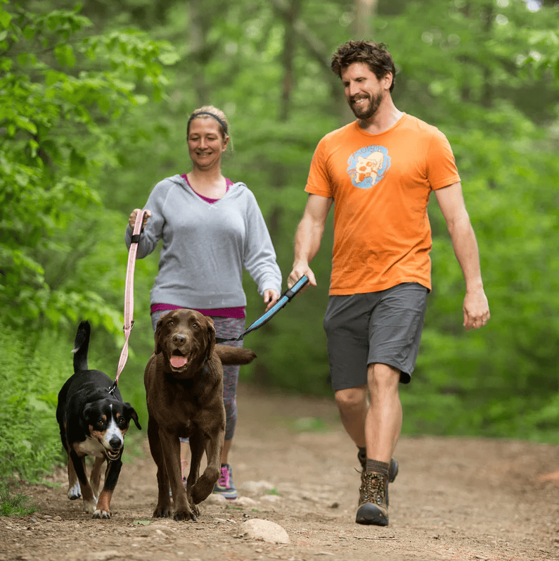 Kurgo Quantum 6-in-1 Leash Reflect & Protect - Blue